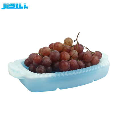 Eco Friendly 1200ml Cooler Eutectic Cold Plates For Cooling Fruit And Food