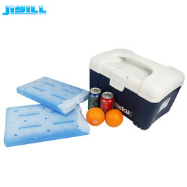 Plastic Medical Large Cooler Ice Packs For Transportation Over Long Distances